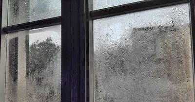 Tesco shopper hails damp and mould preventing items costing just £1.75