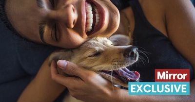 Expert reveals how to spot the tell-tale signs your dog really loves you