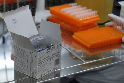 Poor access to safe water fuels cholera outbreak in Syria