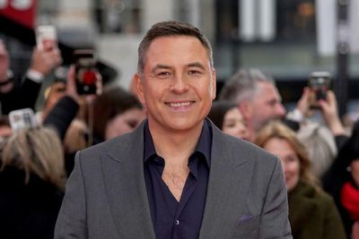 David Walliams apologises for 'revolting' behind-the-scenes BGT comments