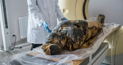 Scientists reconstruct face of pregnant Egyptian mummy who died 2000 years ago