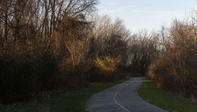 Forest Preserves slated to get $40M a year boost after voters overwhelmingly back property tax hike