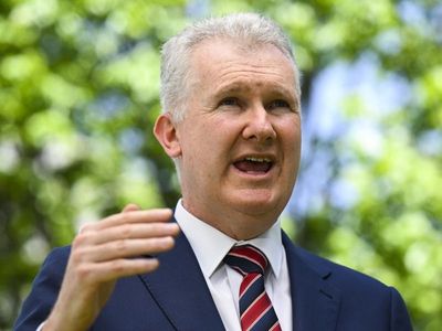 Warning from farmers on workplace laws