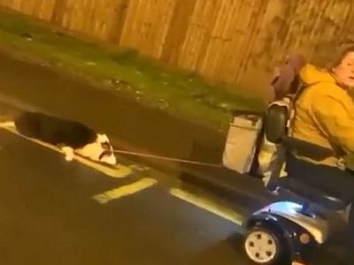 Dog rescued after woman in mobility scooter dragged it along road in distressing footage