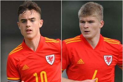 Wales to take Luke Harris and Jordan James to World Cup with ‘one eye on future’