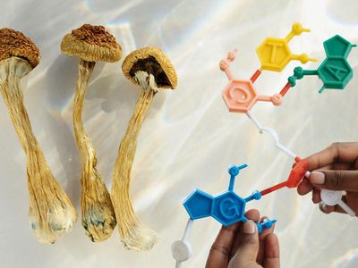 Psychedelics & Role Of Memory In Healing Process, New Trial Led By Univ. Of Wisconsin