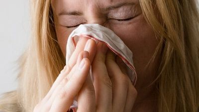 Hayfever, asthma sufferers warned Vic pollen levels currently the highest in decades