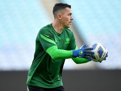 Cup set to be Vukovic's Socceroos farewell