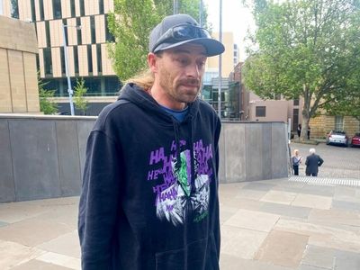 Boy's tree-felling death 'shattering'