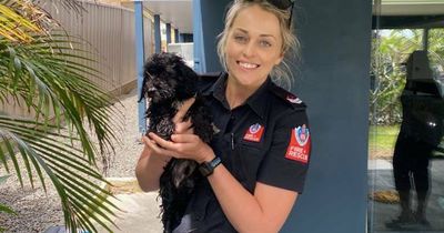 Firefighters come to the rescue of a Lake Macquarie pup stuck down a drain