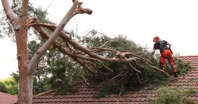 Thunderstorm and flood warning for Canberra this weekend