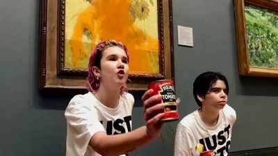 World art museums release statement accusing protesters of 'underestimating fragility' of artworks
