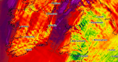 Ireland weather: Met Eireann issues warning to three areas as 110 km/h winds arrive ahead of grim weekend