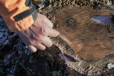 Finland's foresters decry 'unfair' EU climate plans