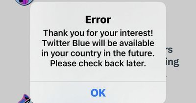 Twitter Blue 'vanishes' for users across UK and US in fresh blow to Elon Musk's takeover