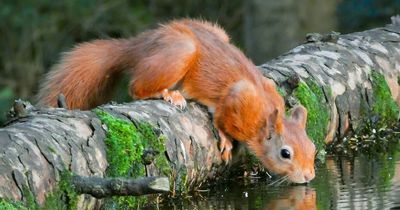 Dalbeattie photographer encourages people to get out to enjoy Dumfries and Galloway's natural wonder