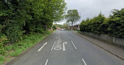 Old Holywood Road: Drivers asked to avoid area due to fallen tree