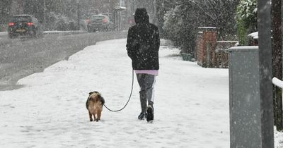 UK likely to see snow as early as next week as temperatures plummet, says forecaster