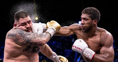 Anthony Joshua 'accepts' trilogy fight with heavyweight rival Andy Ruiz Jr