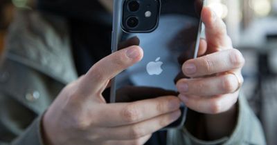 Apple issues emergency alert and advises iPhone owners to update phones now