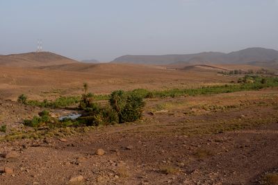 ‘Preserving oases’: The fight for water by Morocco farmers