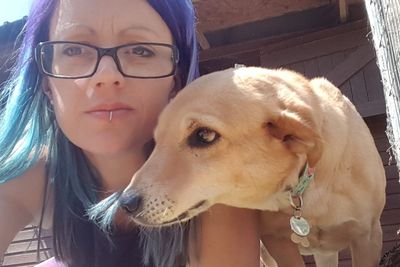 British woman flies disabled street dog 5,600km to loving home