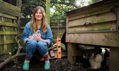 ‘They’re not bird-brained’: the joy of keeping chickens – and a quick how-to guide