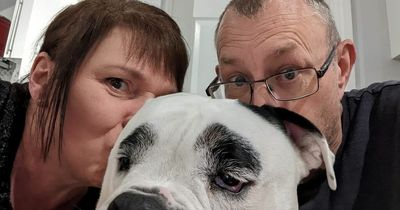 'I sleep in the spare room every night so my husband can share the bed with our dog'