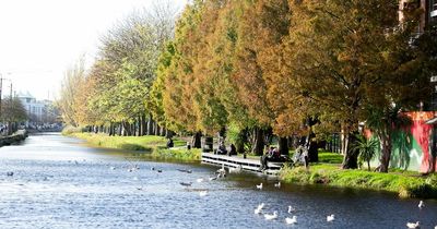 Ireland weather: Everyone saying the same thing about ‘weird’ ‘unnerving’ conditions