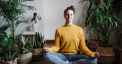 Meditation as effective at treating anxiety symptoms as antidepressants, says new study