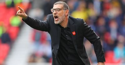Potential boost for Bristol City as Slaven Bilic rethinks selection stance on key Watford star