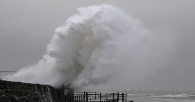 Wave that 'looks like Brian May' caught on camera by photographer