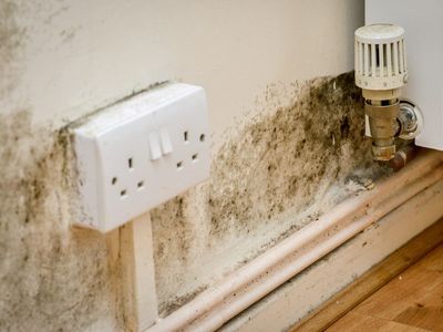 Millions living with household faults ‘because they lack time to fix them’