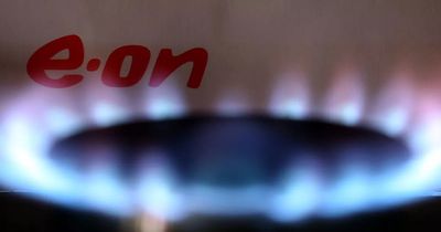 Eon Next and Utilita join British Gas, Ovo and Octopus to pay families for using less energy
