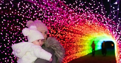 Sandringham royal estate has already put up its mile-long Christmas lights trail