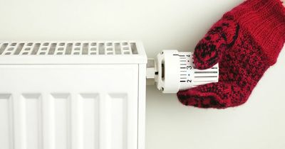 Heating expert shares cheap radiator hack that helps blow hot air around your home
