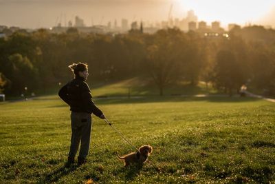 Warmest Armistice Day on record as weekend high is forecast to hit 20C
