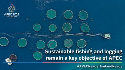 Sustainable fishing and logging remain a key objective of APEC