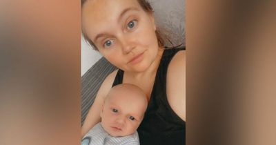 Baby 'bitten from head to toe by spider beetles' sparks housing plea