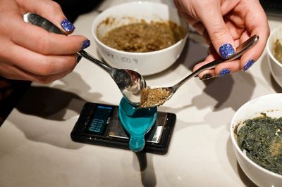 Colorado voters decriminalise psychedelic mushrooms