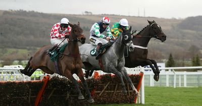 Horse Power: Stolen Silver can win the Paddy Power Gold Cup at Cheltenham