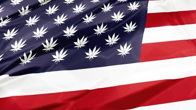 Cannabis News Week: Weed Has Mixed Day at the Ballot Box