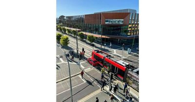 Car and tram collide at Gungahlin intersection