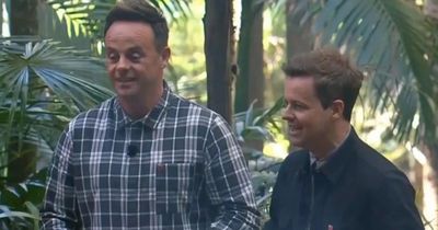 Ant and Dec's I'm A Celebrity trial announcement blindsides camp as hosts reveal 'unexpected' twist