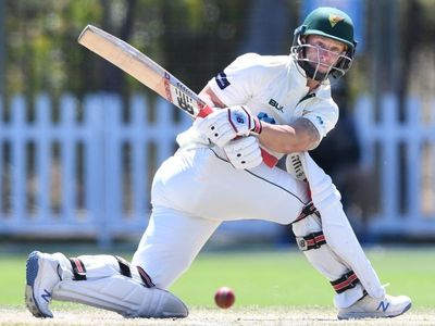 Wade leads Tasmania fightback against NSW
