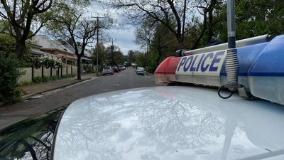 Police charge Elizabeth Grove man after man stabbed at Parkside