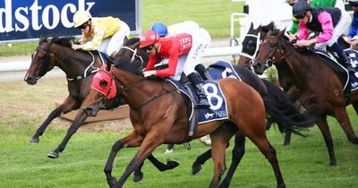 Snowden filly Pierossa takes out Spring Stakes at Newcastle