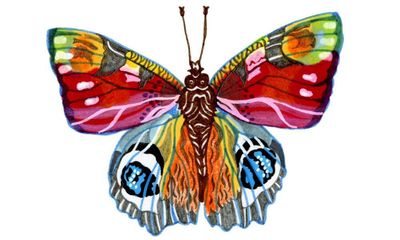 Why do butterflies have different colours on their wings? Try our kids’ quiz