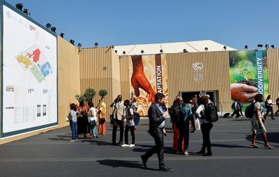 Curbs on rights weaken Egypt's climate talks, campaigners say