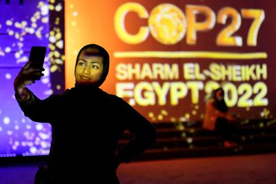 ‘Weaponised app’: Is Egypt spying on COP27 delegates’ phones?